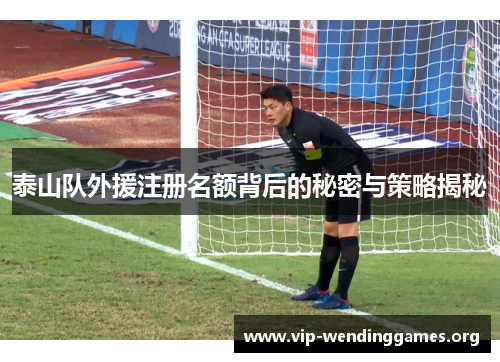 泰山队外援注册名额背后的秘密与策略揭秘