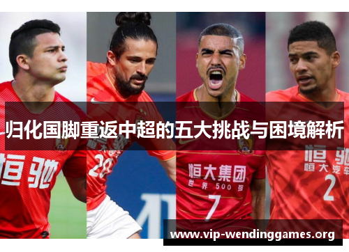 归化国脚重返中超的五大挑战与困境解析