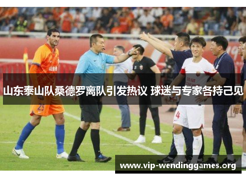 山东泰山队桑德罗离队引发热议 球迷与专家各持己见