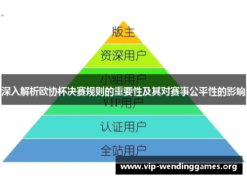 深入解析欧协杯决赛规则的重要性及其对赛事公平性的影响 深入解析欧协杯决赛规则的重要性及其对赛事公平性的影响