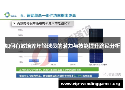 如何有效培养年轻球员的潜力与技能提升路径分析
