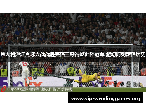 意大利通过点球大战战胜英格兰夺得欧洲杯冠军 激动时刻定格历史