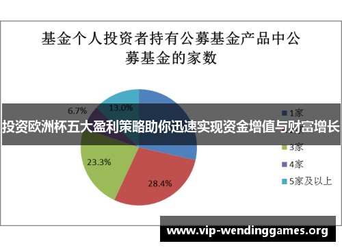 投资欧洲杯五大盈利策略助你迅速实现资金增值与财富增长